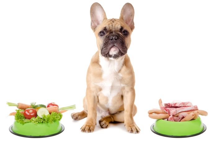 places to buy dog food